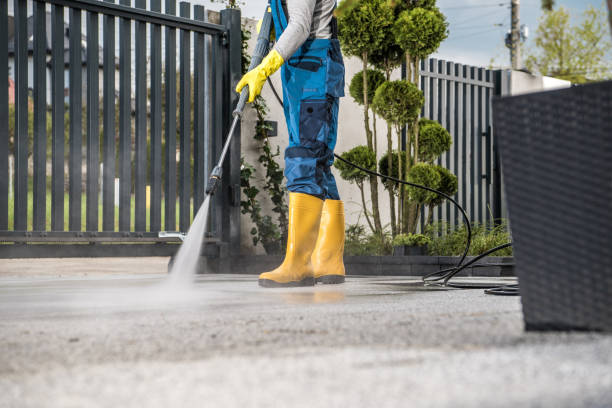 Professional Pressure Washing Services in Roanoke, IL